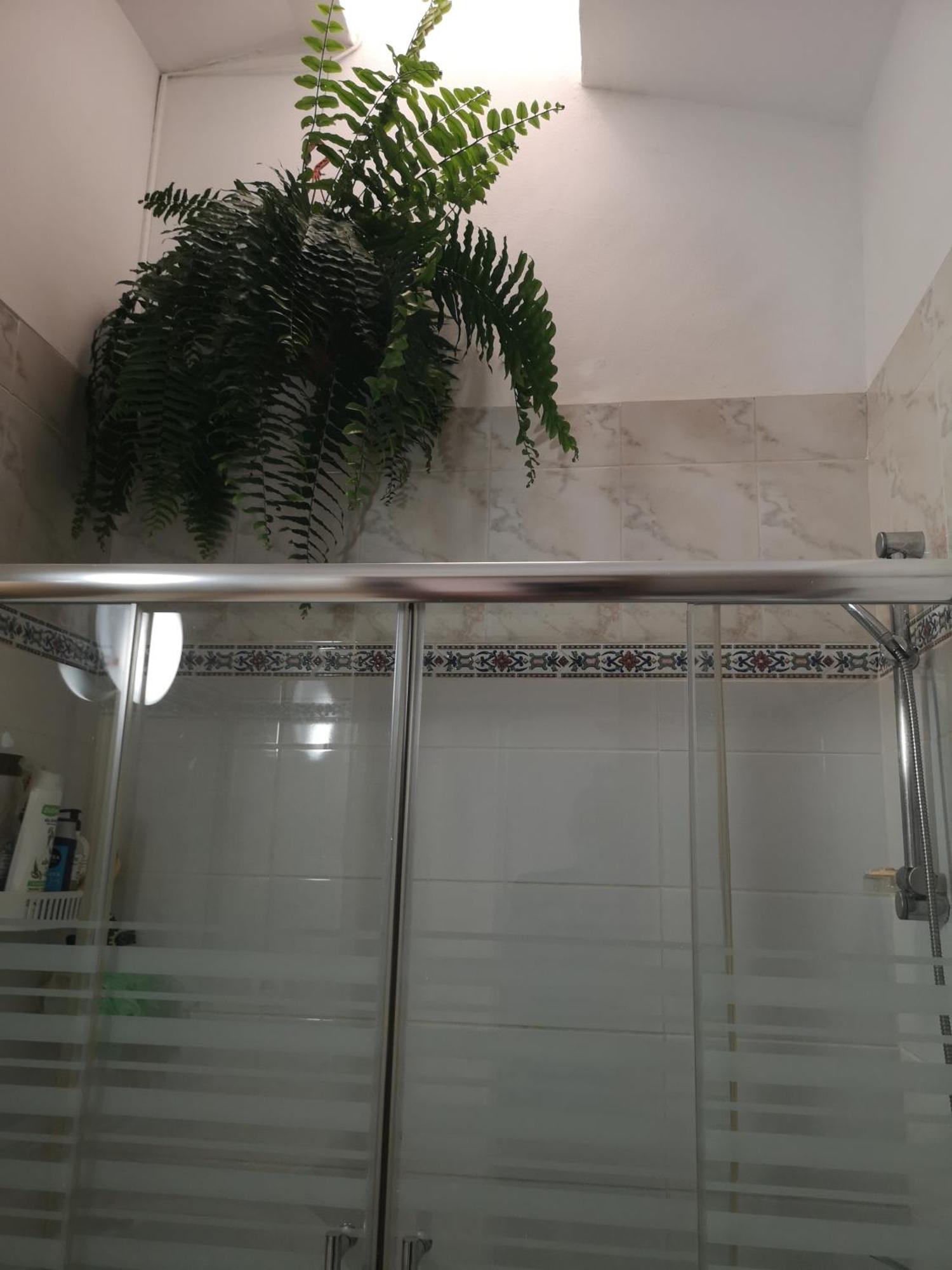 מספאלומס Yumbo Room מראה חיצוני תמונה